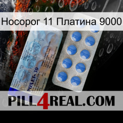 Носорог 11 Платина 9000 39